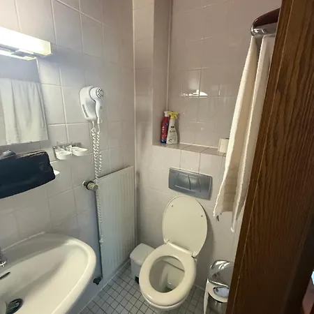 Haus Danz 3* Брюль